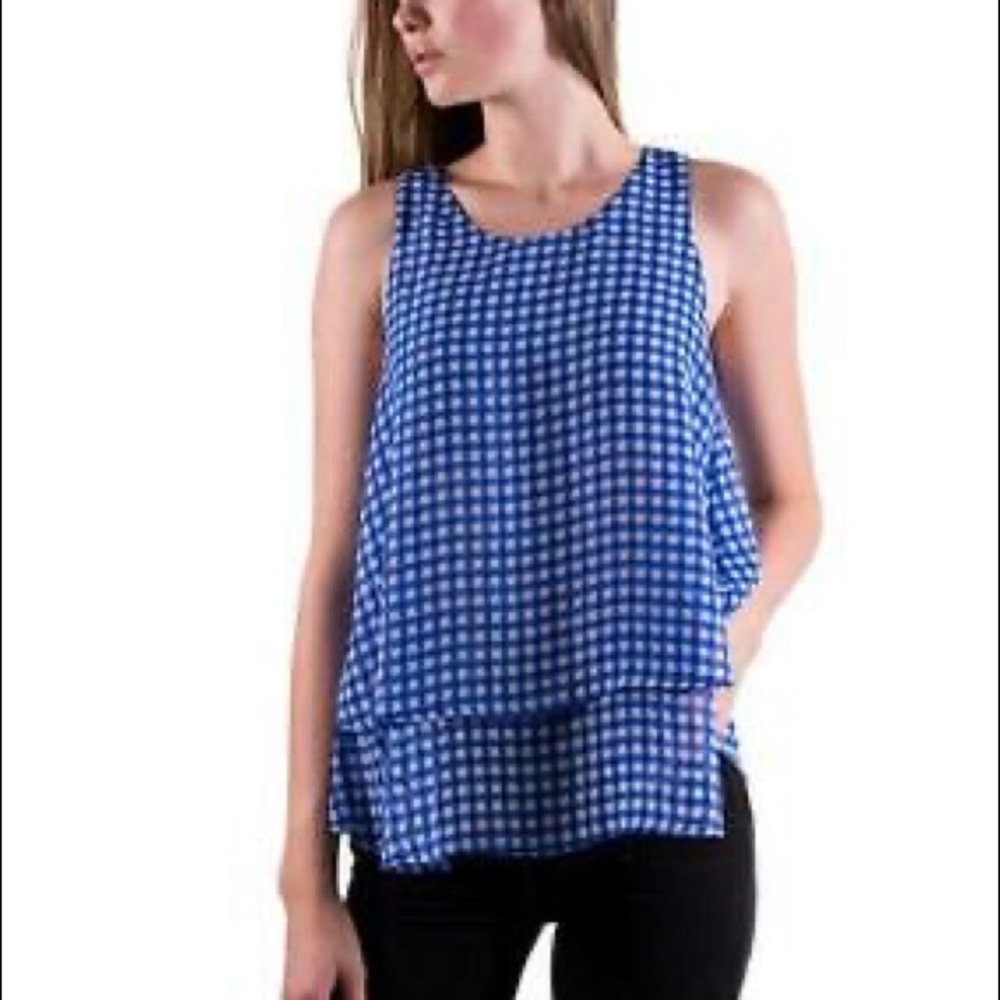 Anthropologie Lili's Closet Blue Gingham Check Top